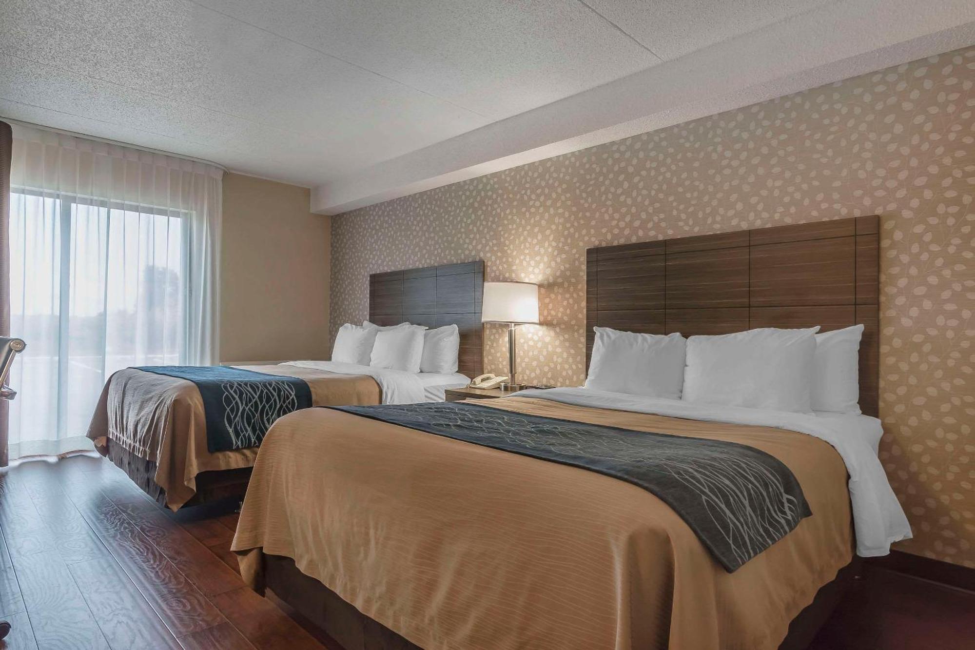 Comfort Inn Lévis Buitenkant foto