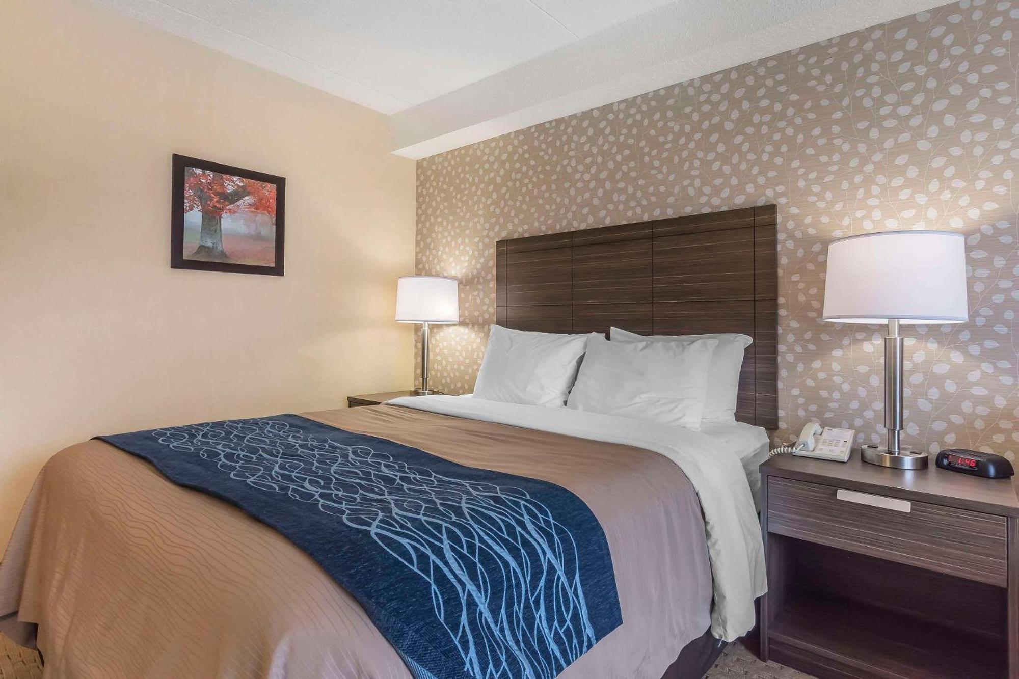 Comfort Inn Lévis Buitenkant foto
