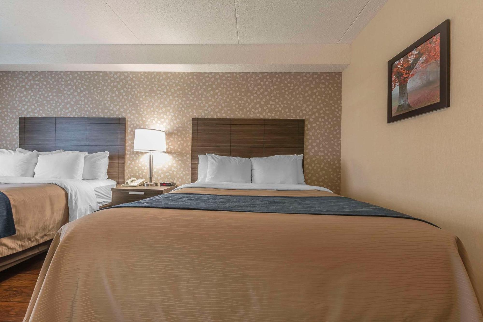 Comfort Inn Lévis Buitenkant foto