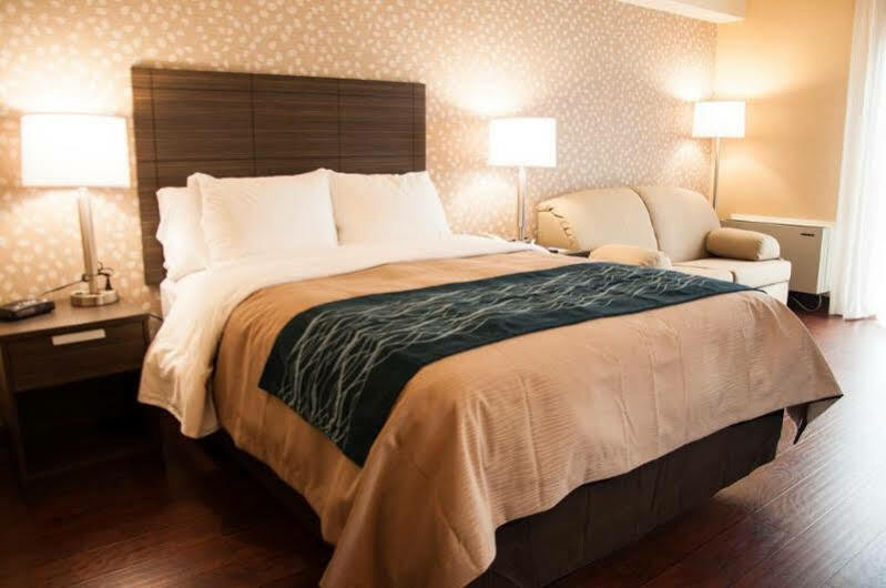 Comfort Inn Lévis Buitenkant foto