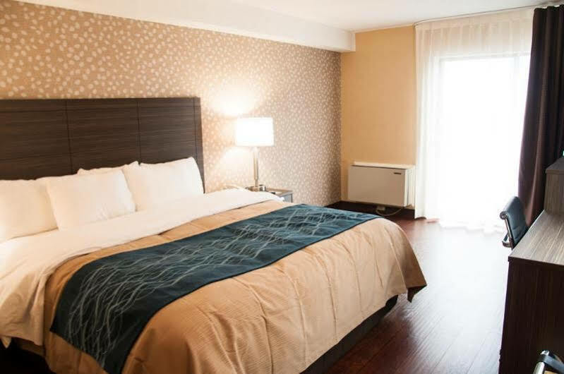 Comfort Inn Lévis Buitenkant foto